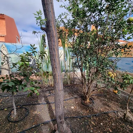 度假居 Ideal Remote Work, Relaxing, Pool And Surfing